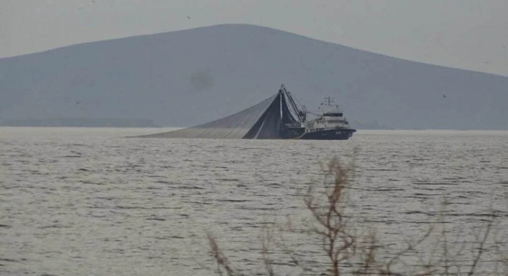 Navpigio partsoli (2)