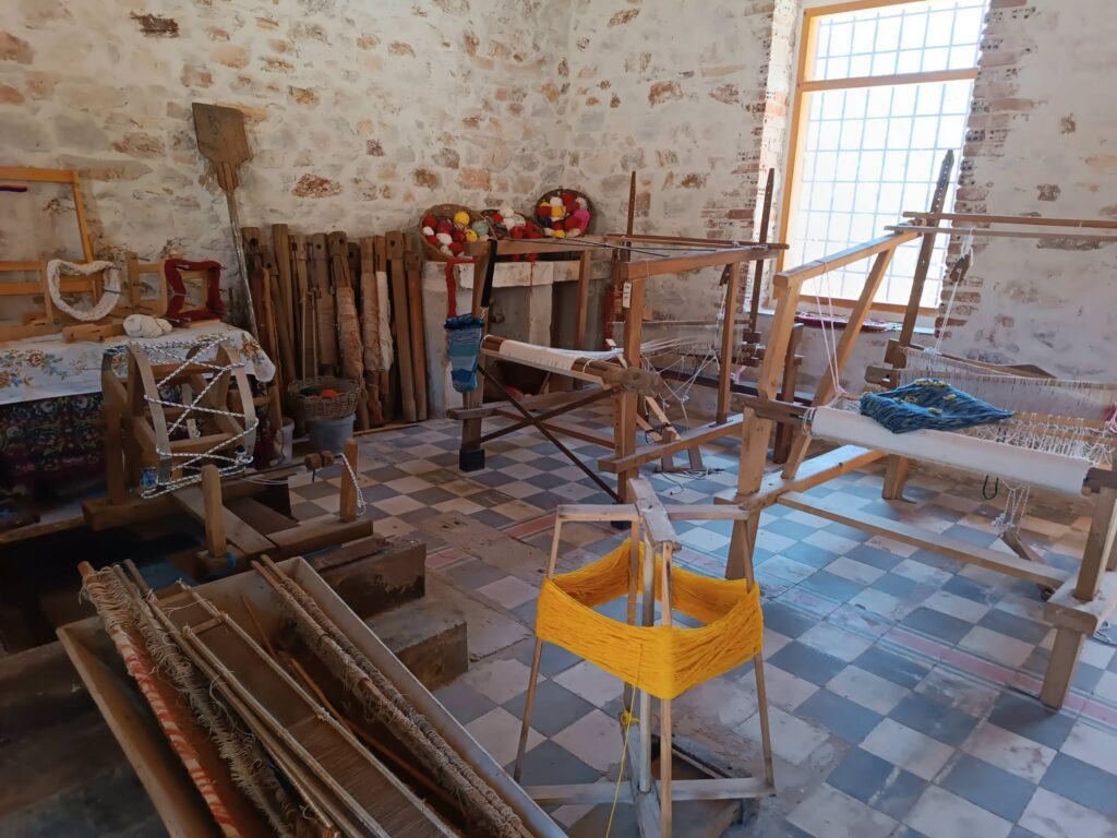 Museum politistikos everyday (3)