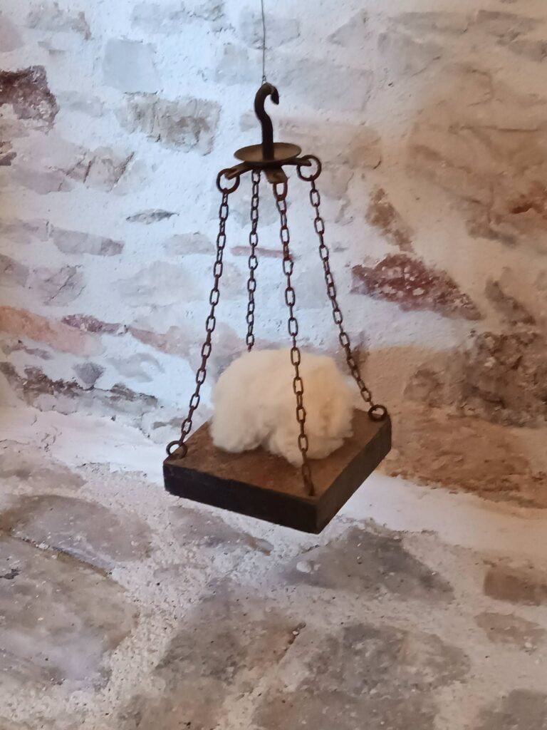 Museum politistikos everyday (4)
