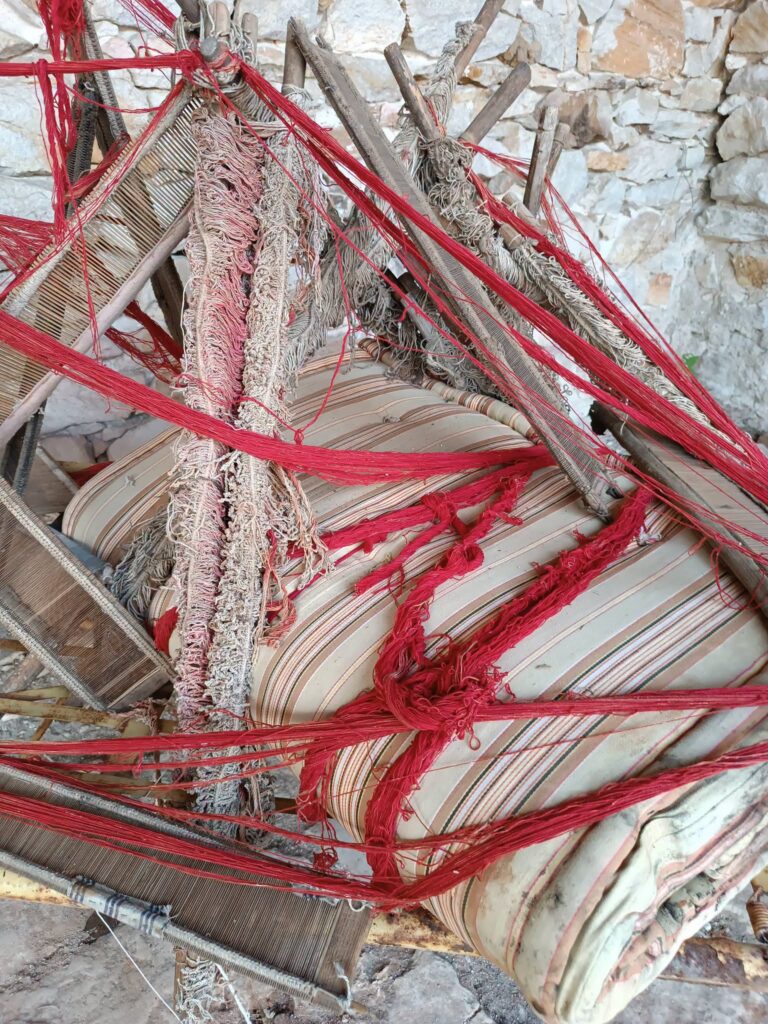Museum politistikos everyday (6)